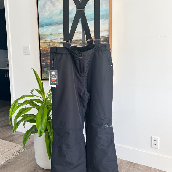 Dare2B Attract III Pant Women's Snow Ski/Snowboard Pants - Picture 1 of 6